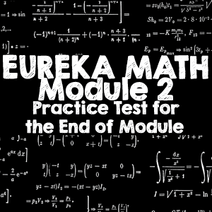 Grade 2 Module 2 End Module Practice Test Eureka Math